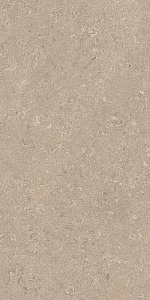 HERITAGE BEIGE 60x120 SPAZZOLATO R10 08