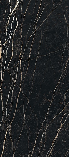 PREXIOUS REX THUNDER NIGHT