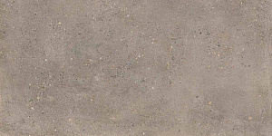 DISTRICT GREY 60x120 SPAZZOLATO R10 01