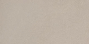 ELEMENTS DESIGN BEIGE NATURAL 30X60 R9