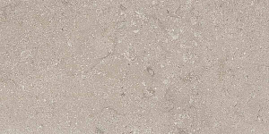 HERITAGE GREY 30x60 SPAZZOLATO R10 02