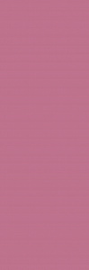RIPOSO 20X60 VERTICALE