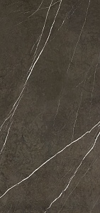 PIETRA GREY POLISHED 120X260