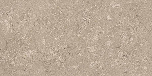 HERITAGE BEIGE 30x60 STRUCTURED R11 05