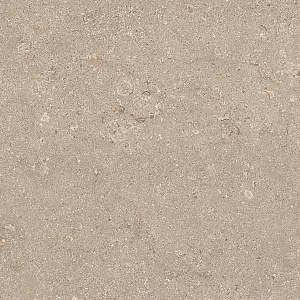 HERITAGE BEIGE 60x60 SPAZZOLATO R10 03