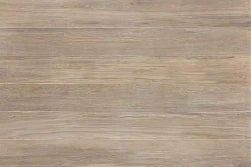 CREAM OAK